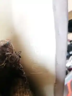 Pezzo di ricambio per auto di seconda mano plastica per bmw x5 (e53) 4.4 v8 32v cat (m62) riferimenti oem iam 51438203866  