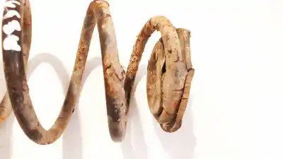 Second-hand car spare part shock absorber spring for kia rio 1.5 crdi oem iam references   