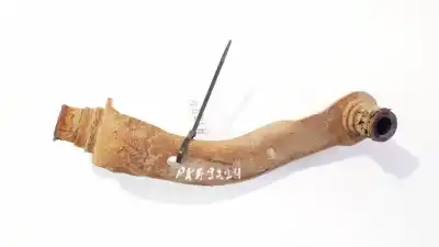 Second-hand car spare part engine support for nissan note (e11e) 1.5 dci turbodiesel cat oem iam references   