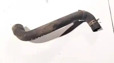 Tweedehands auto-onderdeel buis voor nissan note (e11e) 1.6 16v cat oem iam-referenties   