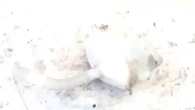 Second-hand car spare part windscreen washer bottle for volvo v50 (545) 1.6 d oem iam references 3m5117618ae