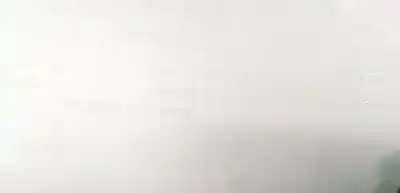 Автозапчасти б/у бардачок за renault grand scénic iii (jz0/1_) 1.5 dci ссылки oem iam 8200248671  8200140757