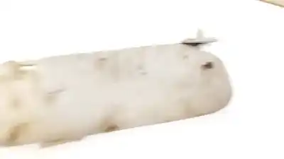 Peça sobressalente para automóvel em segunda mão pára-sol esquerdo por toyota corolla (e11) 2.0 d-4d linea sol referências oem iam   