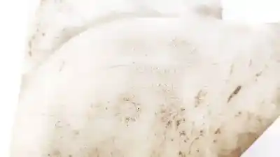 Автозапчастина б/у чистий депозит для opel insignia a (g09) 2.0 cdti (68) посилання на oem iam 13227295  401140137