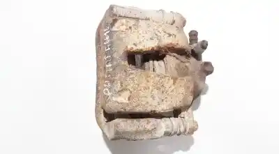 Tweedehands auto-onderdeel rechts voor remklauw voor fiat doblo (119) 1.3 16v multijet dynamic pan. oem iam-referenties zoh5422