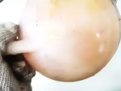 Автозапчастина б/у розширення депозит для volkswagen golf v variant (1k5) 1.9 tdi посилання на oem iam 1k0121407a  