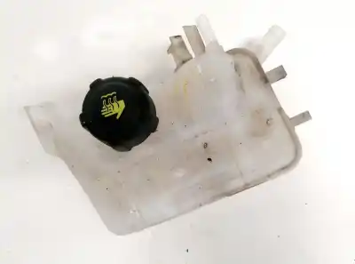 İkinci el araba yedek parçası TESVIK MEVDUATI için RENAULT GRAND SCÉNIC III (JZ0/1_)  OEM IAM referansları 217100005R  