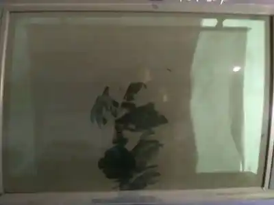 Peça sobressalente para automóvel em segunda mão vidro traseiro esquerdo por peugeot 807 2.0 16v hdi fap referências oem iam 