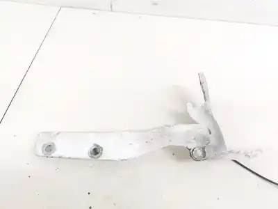 Pezzo di ricambio per auto di seconda mano cerniera del cofano per fiat doblo (119) 1.3 16v multijet dynamic pan. riferimenti oem iam 