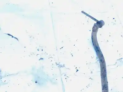 Second-hand car spare part front stabilizer bar for audi 80 avant 1.9 tdi oem iam references   