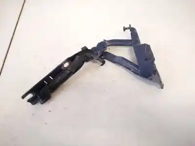 Автозапчасти б/у петля капота за volkswagen golf v variant (1k5) 1.9 tdi ссылки oem iam 