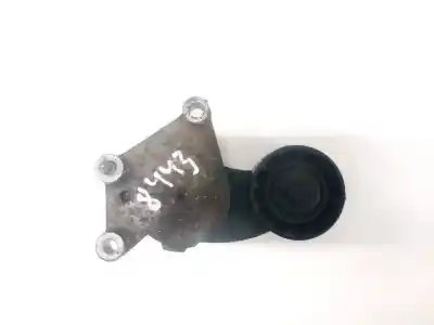 Pezzo di ricambio per auto di seconda mano tendicinghia ausiliaria per ford focus turn. (cb8) 1.6 tdci cat riferimenti oem iam 