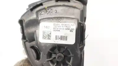 Peça sobressalente para automóvel em segunda mão pedal acelerador por ford focus turn. (cb8) 1.6 tdci cat referências oem iam bv619f836ab  bv61-9f836-ab, 3ev241600, 6pv01036830
