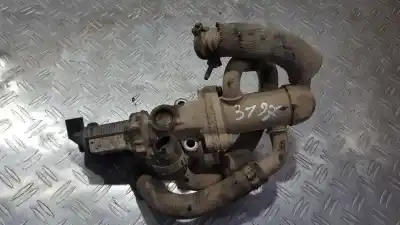 Pezzo di ricambio per auto di seconda mano valvola egr per fiat doblo (119) 1.3 16v multijet dynamic pan. riferimenti oem iam 70002019