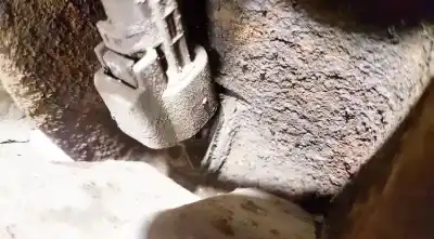 Second-hand car spare part abs sensor for ford kuga (cbv) 2.0 tdci cat oem iam references 