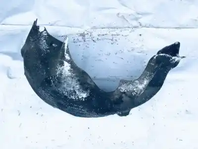 Peça sobressalente para automóvel em segunda mão cave de roda traseira esquerda por bmw 3-series, e90 / e91 / e93 2005.02 - 2009.01 320 d 120kw 2005.01 - 2011.12 referências oem iam 