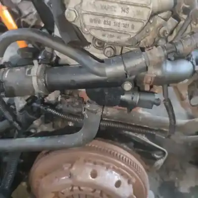 Pezzo di ricambio per auto di seconda mano termostato per seat ibiza (6l1) 1.9 sdi riferimenti oem iam 038121133