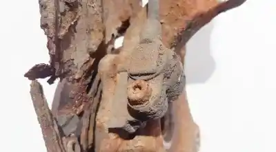 Pezzo di ricambio per auto di seconda mano sensore abs per opel meriva 1.6 16v riferimenti oem iam 09115064