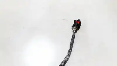 Pezzo di ricambio per auto di seconda mano sonda lambda per opel astra g caravan 1.4 16v riferimenti oem iam   