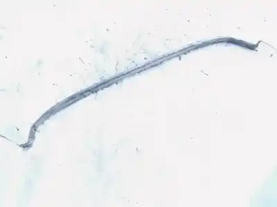 Tweedehands auto-onderdeel plasticen voor ford galaxy (vx) 1.9 tdi cat oem iam-referenties 