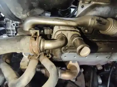 Автозапчасти б/у охладитель рог за volkswagen bora variant (1j6) 1.9 tdi ссылки oem iam 038131513d  1723493