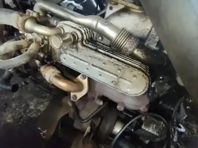 Автозапчасти б/у охладитель рог за volkswagen bora variant (1j6) 1.9 tdi ссылки oem iam 038131513d  1723493