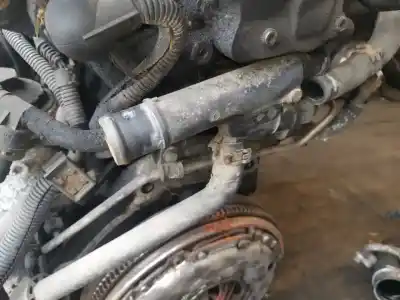 Автозапчастина б/у термостат для volkswagen golf v variant (1k5) 1.9 tdi посилання на oem iam 038121132d  