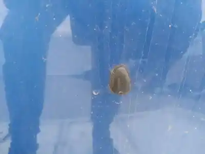 Pezzo di ricambio per auto di seconda mano plastica per chevrolet kalos 1.2 cat riferimenti oem iam   