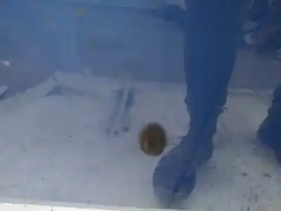 Peça sobressalente para automóvel em segunda mão plásticos por chevrolet kalos 1.2 cat referências oem iam 