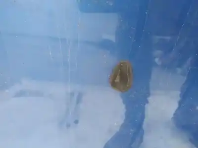 Pezzo di ricambio per auto di seconda mano plastica per chevrolet kalos 1.2 cat riferimenti oem iam   