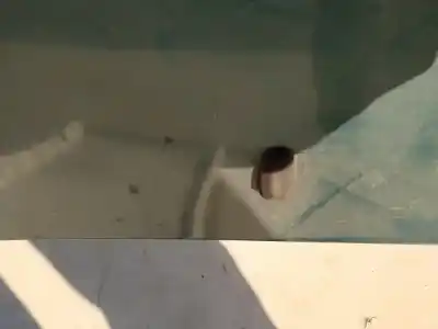 Second-hand car spare part plastics for ford focus turnier (cak) 1.8 tddi turbodiesel cat oem iam references  Second-hand car spare part plastics for ford focus turnier (cak) 1.8 tddi turbodiesel cat oem iam references