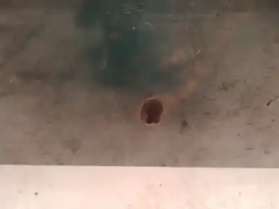 Peça sobressalente para automóvel em segunda mão plásticos por mazda 323 1.5 g 16v/25 (egi dohc) referências oem iam 