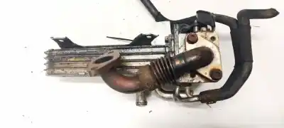 Автозапчасти б/у охладитель рог за volkswagen golf v variant (1k5) 1.9 tdi ссылки oem iam 038131513d  03g131063b