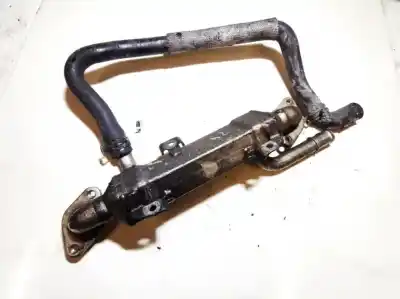 Автозапчасти б/у охладитель рог за volkswagen passat variant (3b5) 1.9 tdi ссылки oem iam 038131513l  030439