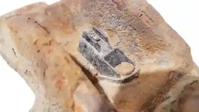 Peça sobressalente para automóvel em segunda mão sensor abs por ford mondeo turnier (ge) 2.0 cat referências oem iam   