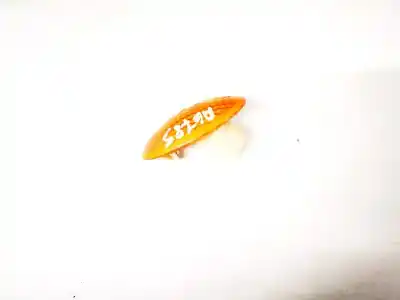 Автозапчасти б/у правая боковая фонарь за opel corsa b 1.7 diesel ссылки oem iam   