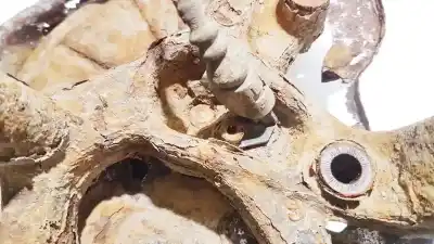 Автозапчасти б/у датчик абс за skoda octavia combi (1z5) 1.9 tdi dpf ссылки oem iam 