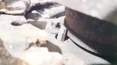 Автозапчасти б/у датчик абс за opel corsa d (s07) 1.2 lpg (l08 l68) ссылки oem iam   