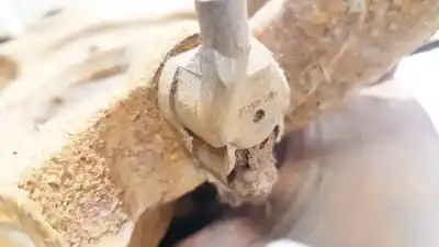 Peça sobressalente para automóvel em segunda mão sensor abs por ford transit mod.2000 caja abierta ft 300 2.0 medio referências oem iam 0265006458