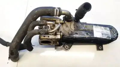 Автозапчастина б/у кулер Egr для SKODA OCTAVIA COMBI (1Z5) 1.9 TDI DPF Посилання на OEM IAM 038131513AD  