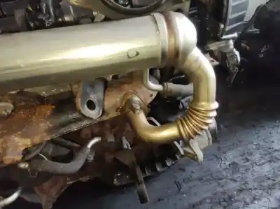 Pezzo di ricambio per auto di seconda mano raffreddatore egr per toyota corolla (e12) 2.0 d-4d sol berlina riferimenti oem iam   