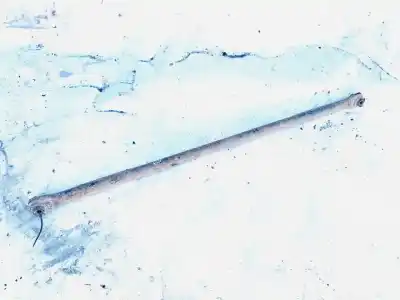 Peça sobressalente para automóvel em segunda mão barra estabilizadora traseira por citroen c8 2.0 hdi fap cat referências oem iam 