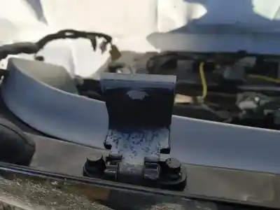 Pièce détachée automobile d'occasion vérin de hayon / coffre pour volkswagen golf v (1k1) 1.6 fsi références oem iam 