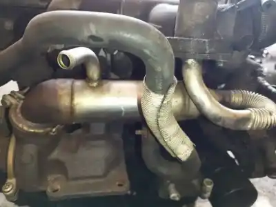 Автозапчасти б/у охладитель рог за ford focus turnier (cak) 1.8 tddi turbodiesel cat ссылки oem iam  Автозапчасти б/у охладитель рог за ford focus turnier (cak) 1.8 tddi turbodiesel cat ссылки oem iam