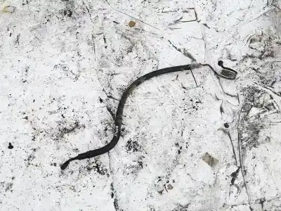 Peça sobressalente para automóvel em segunda mão tubo de pressão de direção assistida por volkswagen passat b5 (3b2) 1.9 tdi referências oem iam 