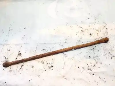 Peça sobressalente para automóvel em segunda mão barra estabilizadora traseira por citroen c8 2.0 hdi sx referências oem iam 