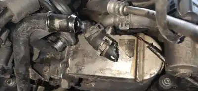 Pezzo di ricambio per auto di seconda mano raffreddatore egr per audi a6 avant (4f5) 3.0 tdi quattro riferimenti oem iam   