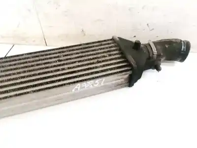 Peça sobressalente para automóvel em segunda mão intercooler por fiat bravo (198) 1.9 dynamic multijet referências oem iam   