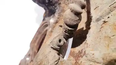 Peça sobressalente para automóvel em segunda mão sensor abs por seat altea (5p1) 1.9 tdi referências oem iam   