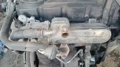 Peça sobressalente para automóvel em segunda mão válvula egr por volkswagen golf v (1k1) 2.0 tdi referências oem iam 03g131513